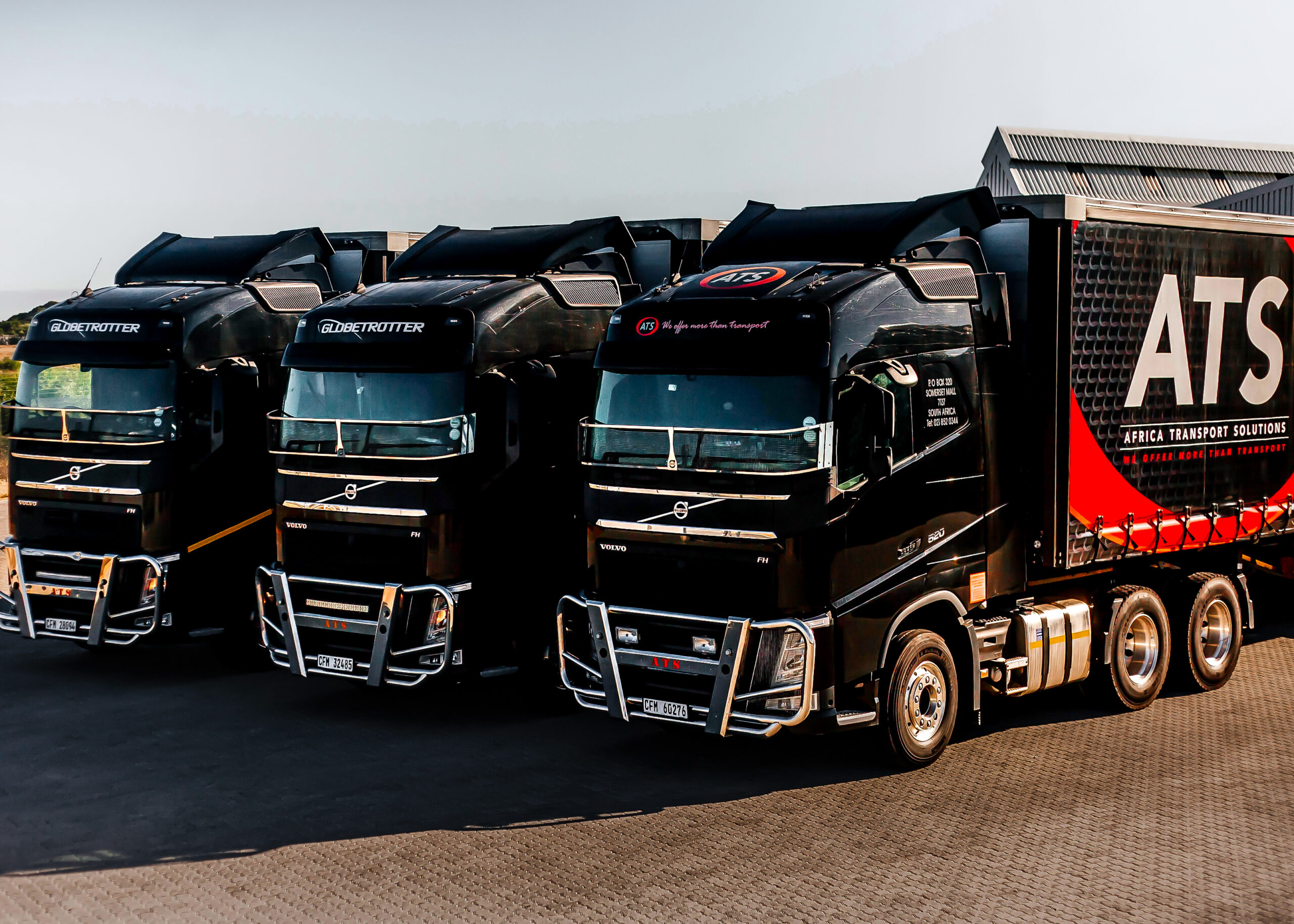 Cargo Handlers Working With Freight Partner Company